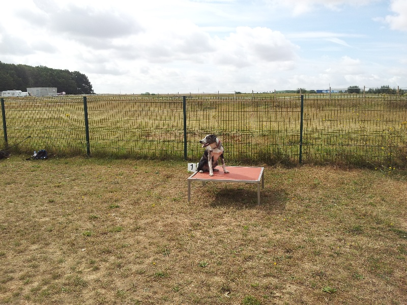 AGILITY